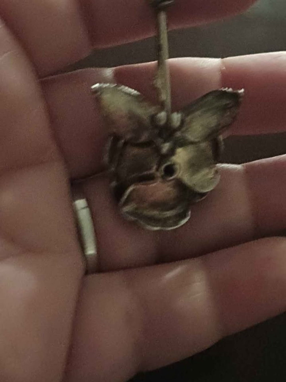Rose Brooch - Picture 2 of 2
